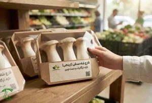 خرید قارچ شاه صدفی بسته‌بندی‌شده