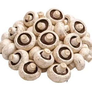 قارچ دکمه ای پشت باز فله