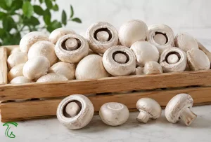 خرید قارچ دکمه‌ای پشت‌باز فله با قیمت روز