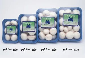 خرید قارچ دکمه‌ای ممتاز در بسته‌های ۲۰۰ تا ۱۰۰۰ گرمی