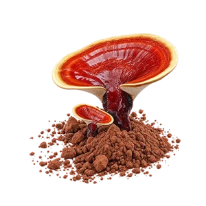 عصاره قارچ گانودرما