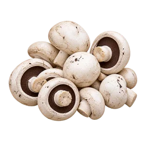 قارچ دکمه ای پشت باز فله