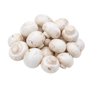 قارچ دکمه ای پشت بسته فله درجه یک