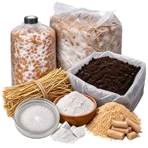 مواد اولیه و مصرفی پرورش قارچ