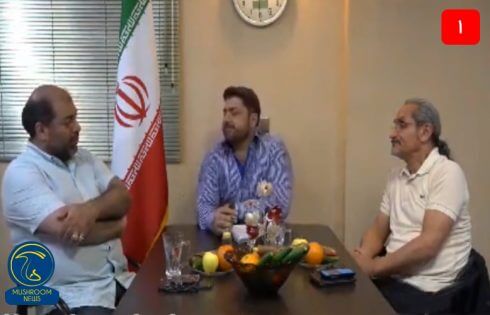 برنامه باکارشناسان با حضور آقایان هاشمی و سیفی زاده دو پیشکسوت عرصه توزیع قارچ