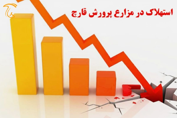مشکلات صنعت قارچ: استهلاک مزارع