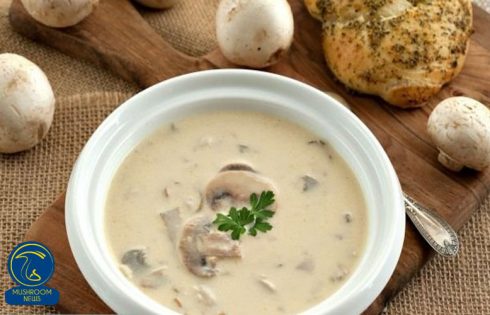 آموزش آشپزی با قارچ - ویدیویی طرز تهیه خوراک قارچ خمته