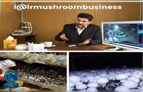 ورود انجمن پرورش دهندگان قارچ خوراکی به صدور پروانه‌ها