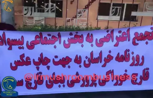 تجمع و اعتراض تولیدکنندگان قارچ خوراکی خراسان رضوی