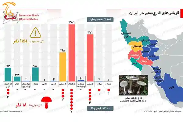 آمار قربانیان مسمومیت با قارچ سمی در کشور