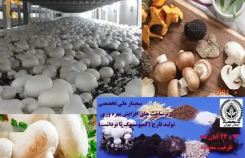 سمینار ملی تخصصی افزایش بهره‌وری تولید قارچ