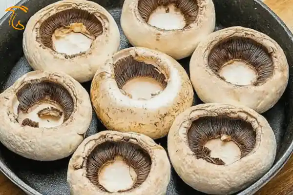 طرز تهیه پیتزا لقمه قارچ