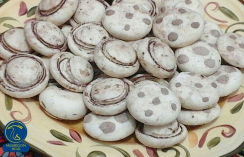 آموزش شیرینی قارچی شکلاتی