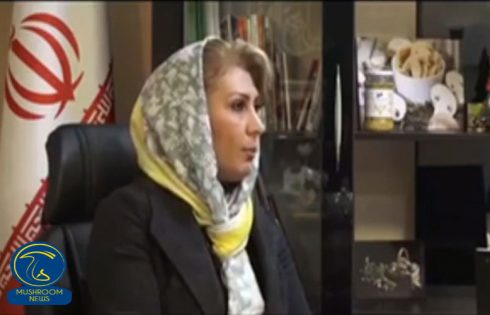 برنامه آقای قارچ با حضور خانم پروانه غلامی