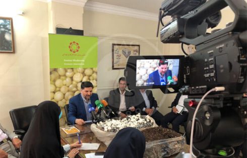 نشست خبری قارچ سمی در انجمن قارچ