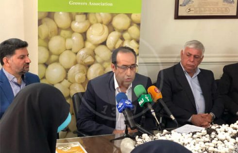 مدیر کل دفتر امور گلخانه ها