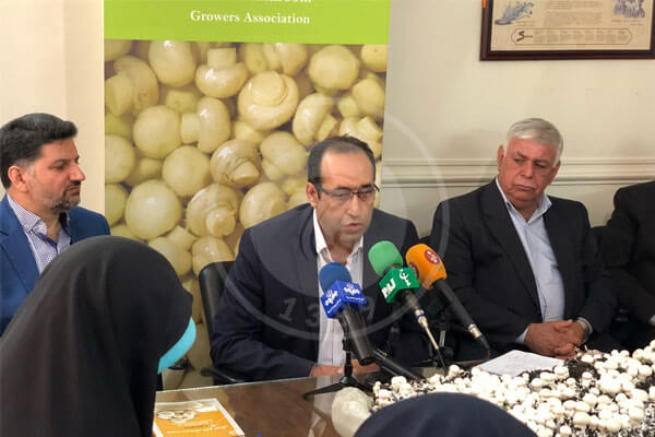 مدیر کل دفتر امور گلخانه ها