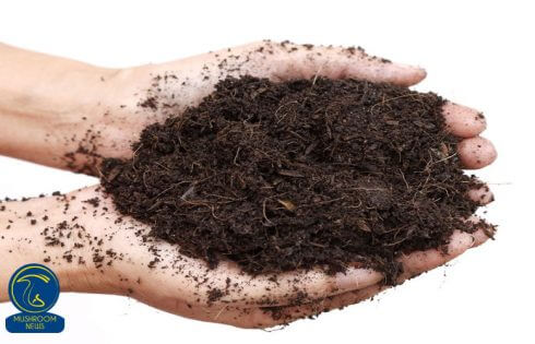 ساختار کمپوست