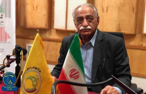 محمد حسن افشار وجود ۲ هزار نوع قارچ گوشتی در طبیعت!