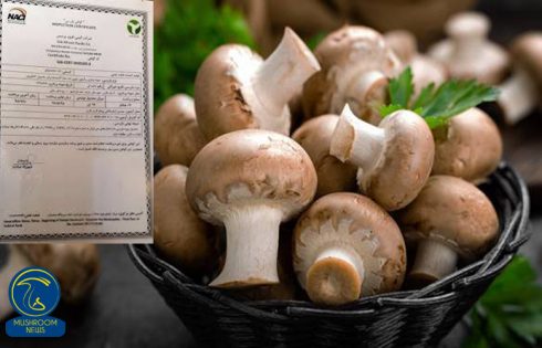 چگونگی اخذ مجوز پرورش قارچ