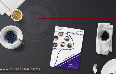 کتاب آموزش کاربردی پرورش قارچ دکمه ای