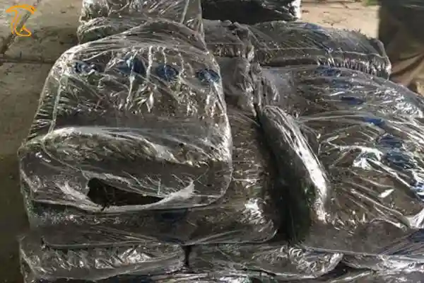 25 اخبار صنعت قارچ در سال 98