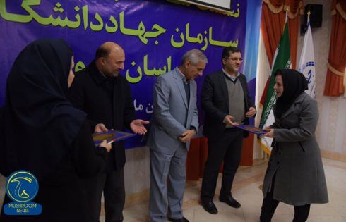 گروه پژوهشی برتر جهاد دانشگاهی