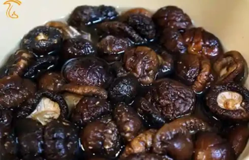 آموزش آشپزی با قارچ - طرز تهیه مربای قارچ