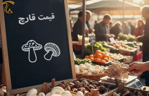 نرخنامه قارچ