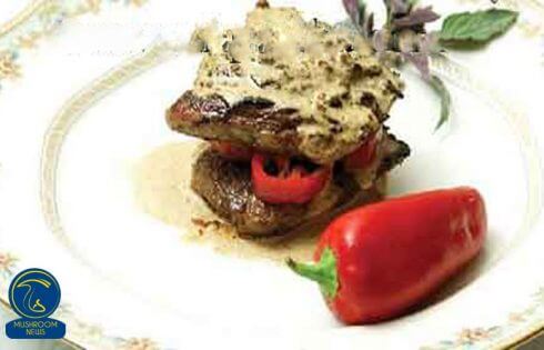 آموزش آشپزی با قارچ - طرز تهیه شاتوبریان با سس قارچ و شیر