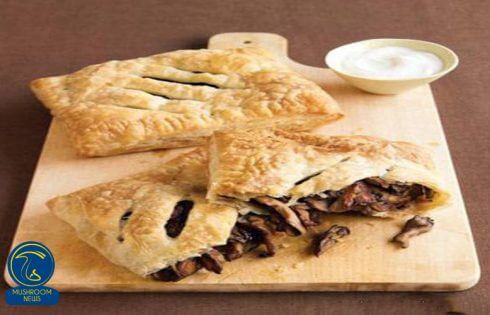 آموزش آشپزی با قارچ - طرز تهیه اشترودل قارچ و خامه ترش - غذای گیاهی