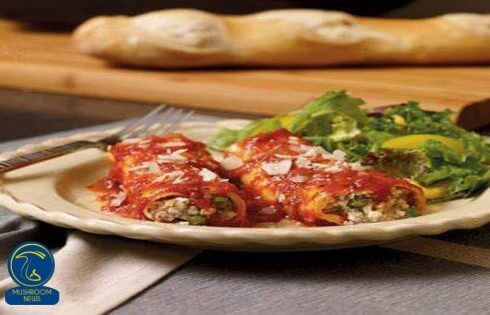 طرز تهیه کانلونی قارچ و اسفناج