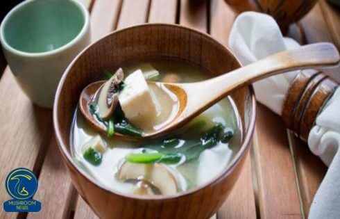 آموزش آشپزی با قارچ - طرز تهیه سوپ پنیر سویا با قارچ - سوپ توفو