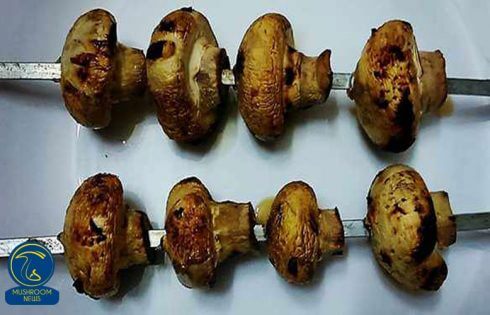آموزش آشپزی با قارچ - طرز تهیه کباب قارچ - غذای گیاهی