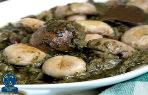 آموزش آشپزی با قارچ - طرز تهیه قرمه قارچ و سیر اسپانیایی - غذای گیاهی