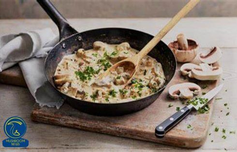 آموزش آشپزی با قارچ - طرز تهیه سس قارچ با آرد سفید