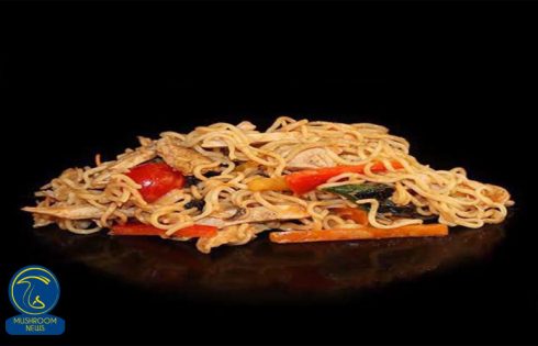 آموزش آشپزی با قارچ - طرز تهیه نودل رامن بوقلمون