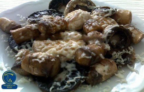 آموزش آشپزی با قارچ - طرز تهیه قارچ پنیری یا قارچ با پنیر پیتزا
