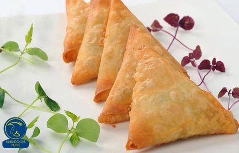 آموزش آشپزی با قارچ - طرز تهیه سمبوسه قارچ - غذای گیاهی