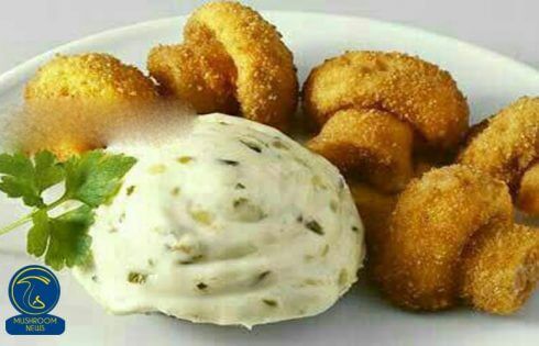 آموزش آشپزی با قارچ - طرز تهیه قارچ پفکی