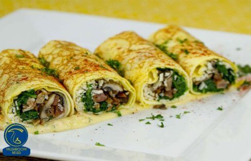 آموزش آشپزی با قارچ - طرز تهیه پیراشکی قارچ و اسفناج - غذای گیاهی