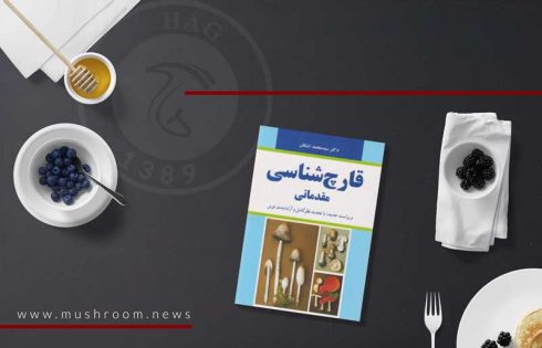 قارچ شناسی مقدماتی