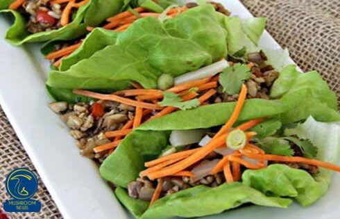 آموزش آشپزی با قارچ - طرز تهیه کاهوپیچ بوقلمون و قارچ