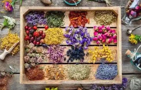 درمان کرونا با مصرف گیاهان داروئی