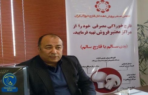 انتخاب بازرس انجمن قارچ کشور کاهش قیمت هر کیلوگرم قارچ