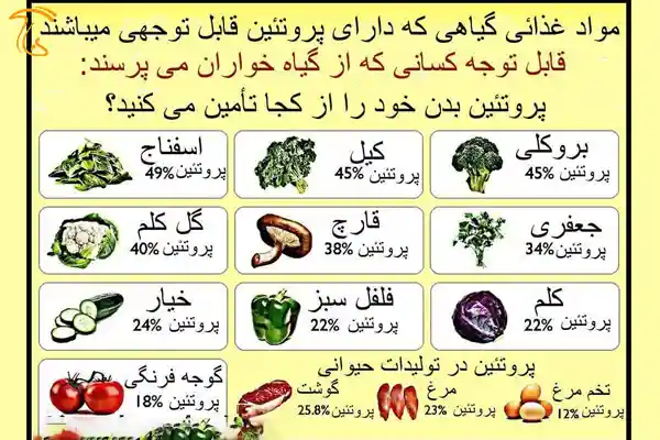 مقایسه پروتئین گیاهی و حیوانی