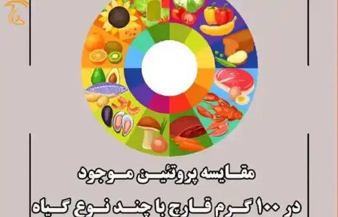مقایسه پروتئین گیاهی و حیوانی با قارچ