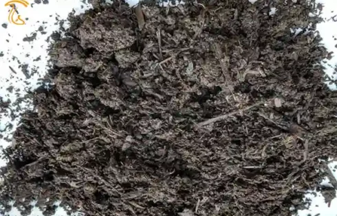 نمونه برداری از کمپوست و خاک پوششی