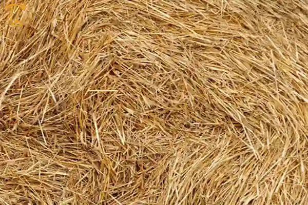 مواد لازم برای ساخت کمپوست کلش گندم