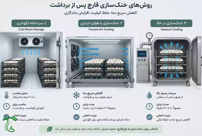 شماتیک سه روش خنکسازی قارچ پس از برداشت: اتاق سرد، هوای اجباری و خنکسازی خلأ